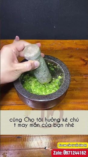 Cây xương rồng gừng bí quyết ông xưa giảm đau tan sưng nhanh mẹo tự nhiên ai cũng làm được