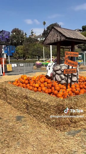 Pumpkin Patch Adventures in San Diego: A Fall Tradition