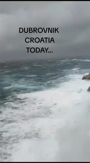 Dalmatino (@dalmatino.danny)’s videos with original sound - Dalmatino