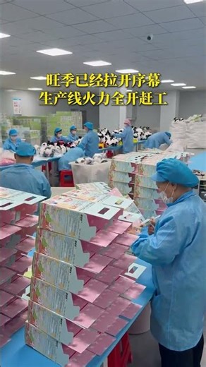 Crafting Perfection: Our Journey to Finish the Ultimate Plush Toy Collection