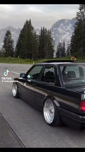 the only one bra jux (@the.only.one.bra)’s videos with som original - Prisma