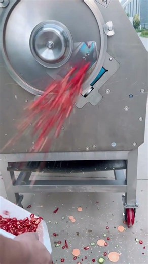 Slicing is just like a machine gun! Can you believe it Even master chefs can’t keep up! Co