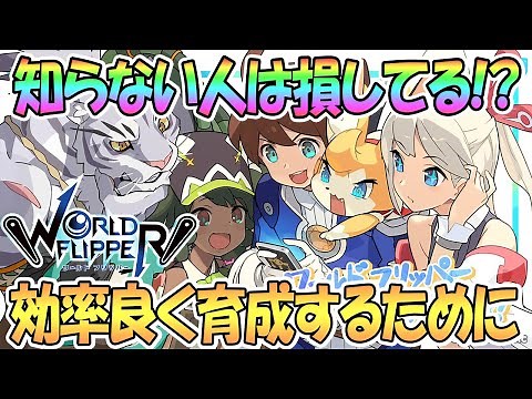 【ワーフリ】効率良くランク上げやキャラ育成するために知っておきたいこと【第一回ワーフリ動画】【ワールドフリッパー / World Flipper / 実況】