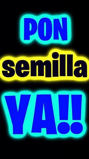 🍷👽Discover how to use seeds in Minecraft🌱 How to put seeds in Minecraft Bedrock easily #datwinxd