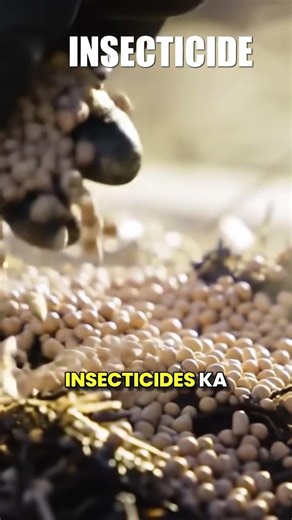 Fungicide, Insecticide, Rhizobium: What Farmers Are Missing #farming #agriculture #soilhealth