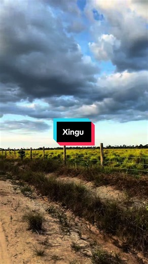 Discover the Beauty of Xingu River and City