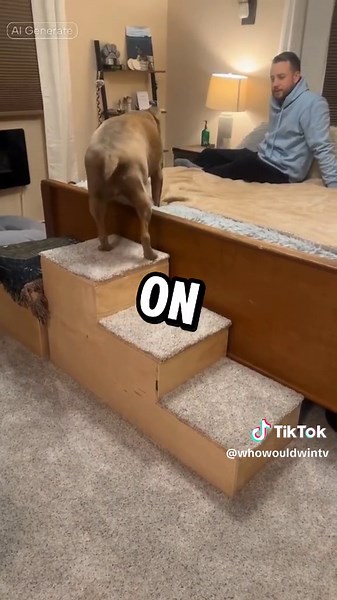 Dog Falls Off Stairs! 🐶🤣 #shorts