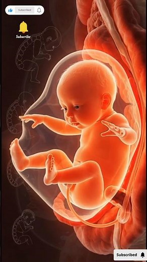 Human reproduction.🫄