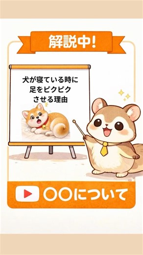 寝ている犬の足がピクピクする理由