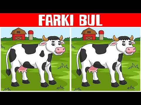 FOTOĞRAF BULMACALARI 👁️👁️: İki Resim Arasındaki 2 FARKI BUL! | Çocuklar için Görsel ZEKA TESTİ!