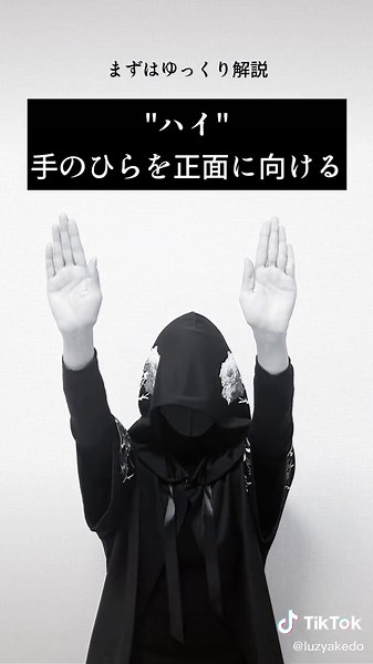 luzの「涅槃」ライブ用振付まとめ
