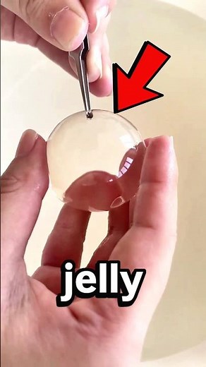 This Tiny Jelly Ball Grows Plants Without Soil 🤯