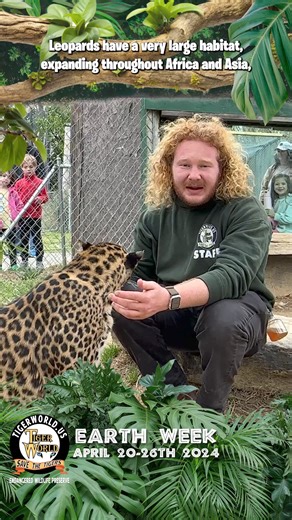 278 reactions · 52 shares | Come out and join us for Earth Week! Chase has the details below. | Tiger World | Facebook