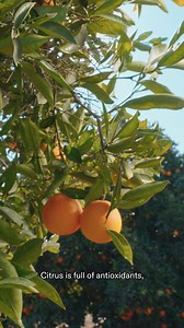 60K views · 100 reactions | AG1 is proud of what goes into your daily...