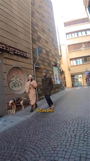 Doggo Daiily on Instagram: "Lui è Arturo, un bracco italiano che abbiamo adottato due anni e mezzo fa 🐶💛. Quando è arrivato aveva anche lui due anni e mezzo, ed era terrorizzato dal mondo: non si fidava delle persone, si muoveva come se tutto potesse fargli del male 🌿. ￼ La sua storia è dura. Era di un cacciatore, e gliel’hanno sequestrato perché lo teneva in condizioni pietose. Credo sia stato picchiato, e lo lasciavano senza cibo… e infatti in casa ruba qualsiasi cosa, 