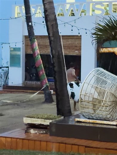 Future Fly Boards on Reels