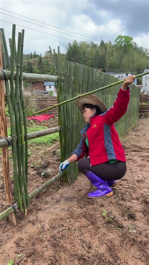 Garden Fencing Hack! Simple Bamboo Insert Method