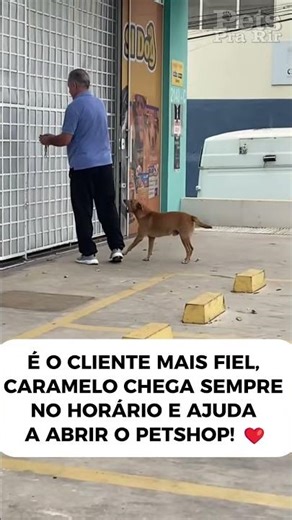 O mais fiel❤️🐶🐶