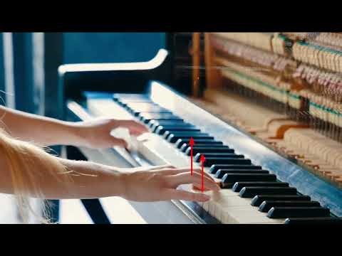 From Pose to Muscle: Multimodal Learning for Piano Hand Muscle Electromyography