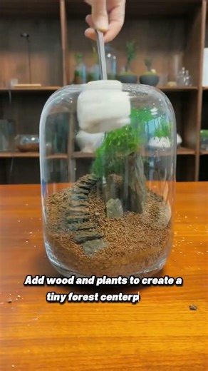 This Tiny Terrarium Will Calm Your Mind 🌱