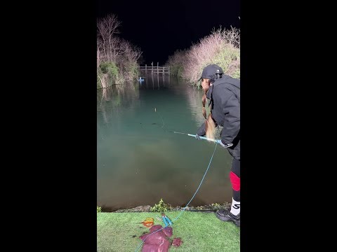 Early fish caught the tasty worm 🌅 | 신기한물고기 | 不思議な魚