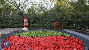 53K views · 741 reactions | What's your favorite in wintertime: hotpot or hot spring? Why not have both at the same time? Check out the hotpot-themed spring in Liyang, east China's Jiangsu | Xinhua Culture&Travel | Facebook