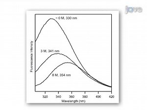 Thermodynamics of Membrane Protein Folding Measured by Fluorescence Spectroscopy