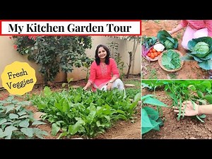 My Garden Tour | Fresh Organic Veggies from My Kitchen Garden | Urban Rasoi