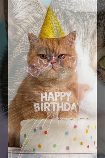 When Cats Celebrate Your Birthday Better Than Your Friends #birthday #cats #shorts