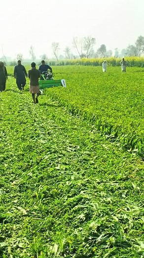 Reaper Machine | Mini Reaper Machine | #sobyagromachinery #machine #selfpropelled #reapermachine