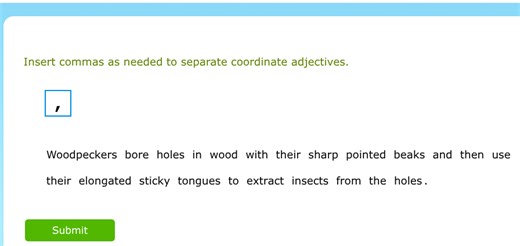 Insert commas as needed to separate coordinate adjectives.  Woo... | Filo