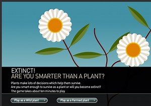 Plant Parts & Functions