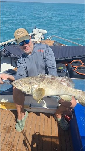 Absolute Monster of a Rock Cod - Ocean Jigging #fishing