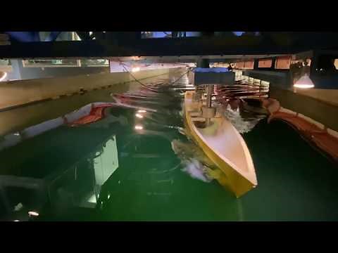 FFG Model - Dynamic PMM Test