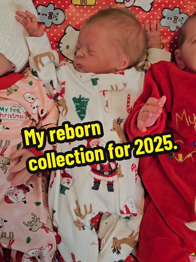 My Reborn Doll Collection for 2025