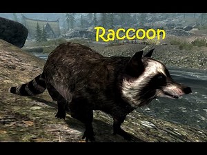 Beavers and Raccoons of Skyrim