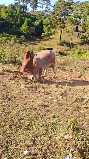 On This Day in Oromo History