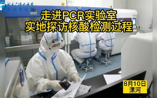 走进PCR实验室！实地探访核酸检测过程