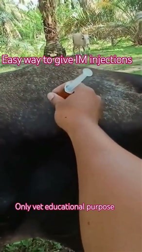 Intramuscular Injections Made Easy!