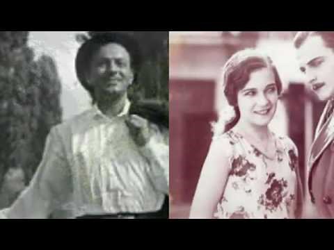 Jávor Pál - Téglaporos a kalapom