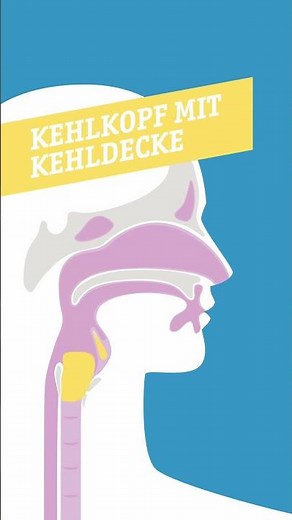 Wie funktionieren die Atemwege? #atmung