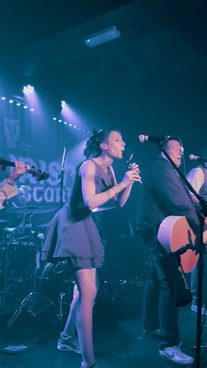 Our new cover of 'The Wild Rover' is OUT NOW everywhere you stream your music! ☘️ | Mr. Irish Bastard