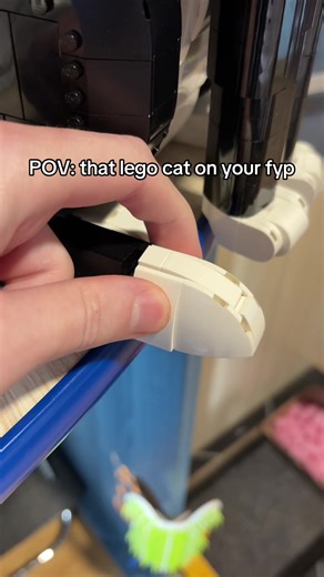 Much knowledge 😭 #lego #cat #harrypotter #fyp TikTok