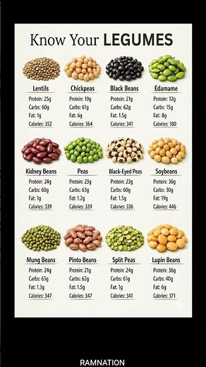 Which Legume Has the Most Protein? 😳