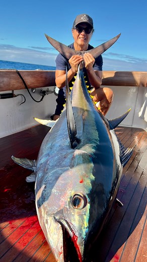 28K views · 1.6K reactions | 15 min fight POV on a 300 lb class Big eye Tuna. Big game fishing Azores - World tour 2025. Some narrative and description from me during the fight. Started at 32lb of drag and ended up at 55lbs. | Bad Company Fishing Adventures | Facebook