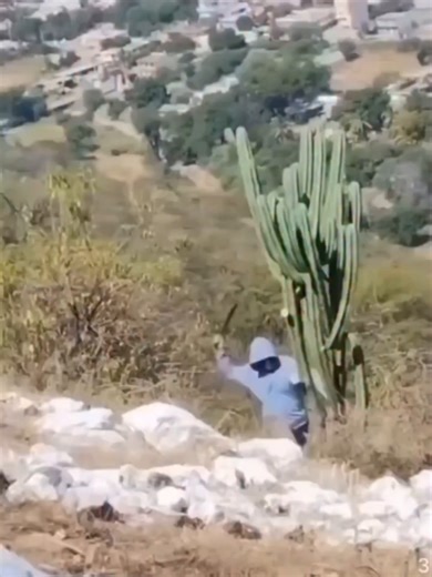 what was the reason #dubstep #riddim #edmtiktok #ravetok #excision #crankdat #lostlands