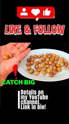 Carp Fishing Bait Recipe - Homemade Boilies - Catch More Carp with This Bait!