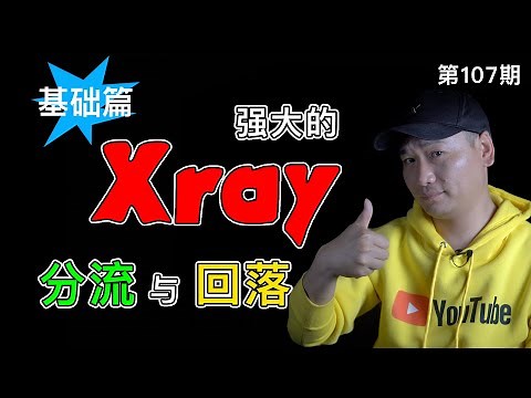 翻墙协议的未来！Xray强大的回落和分流功能你一定要知道！Xray回落至Nginx强制开启https访问！最新2021流行下的Xray客户端全平台使用及搭建教程（Xray强大回落及分流篇一）