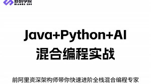 Java Python AI混合编程实战