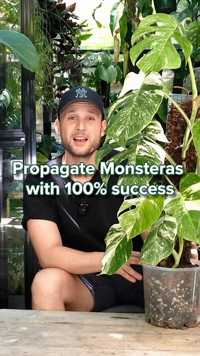 74K views · 2.3K reactions | In today’s video I am using a...